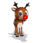 Reindeer - Christmas